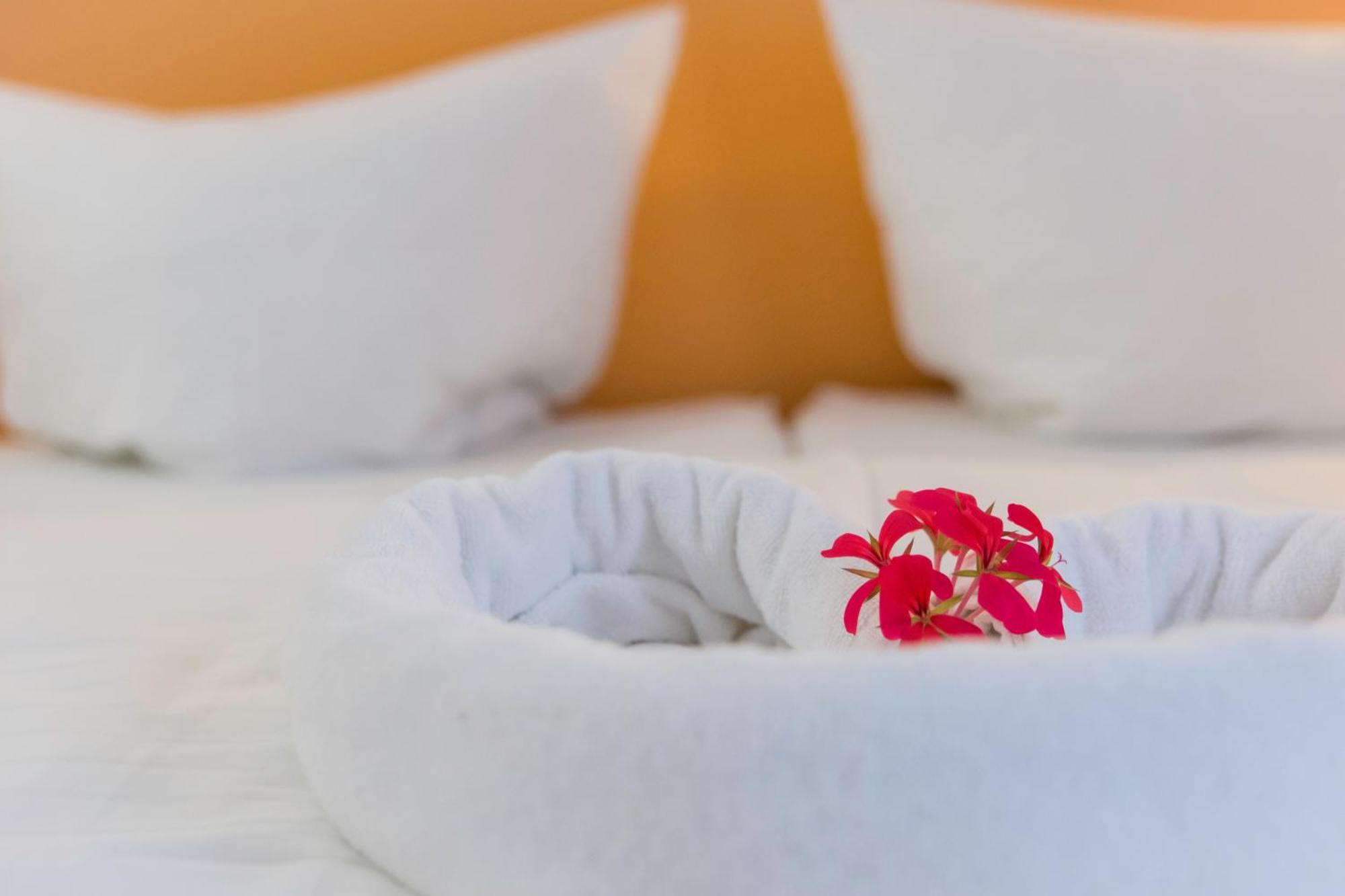 Domacija Vodnik & Apartments Cerklje na Gorenjskem Εξωτερικό φωτογραφία