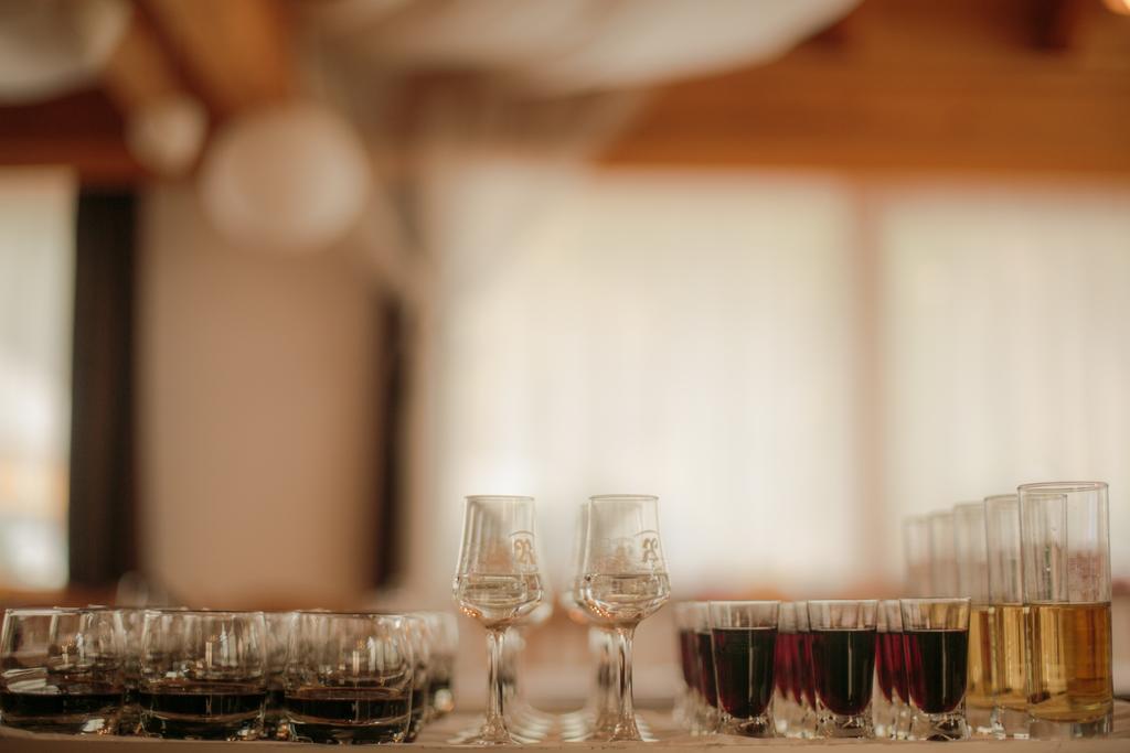 Domacija Vodnik & Apartments Cerklje na Gorenjskem Εξωτερικό φωτογραφία