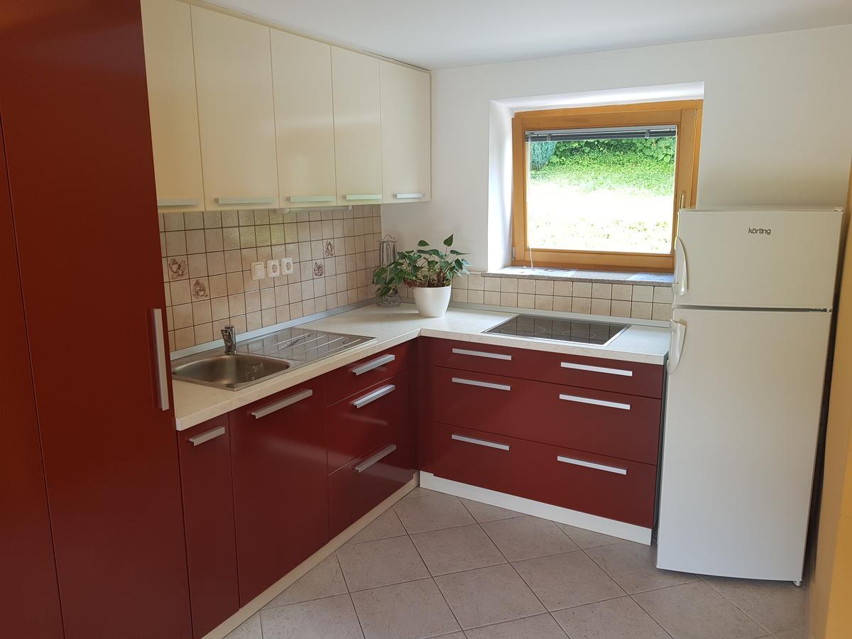Domacija Vodnik & Apartments Cerklje na Gorenjskem Εξωτερικό φωτογραφία